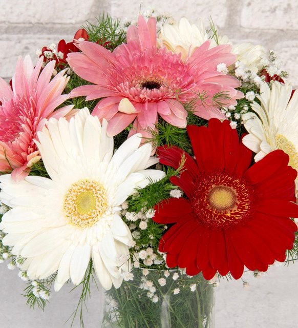 Vazoda Gerbera Aranjmanı
