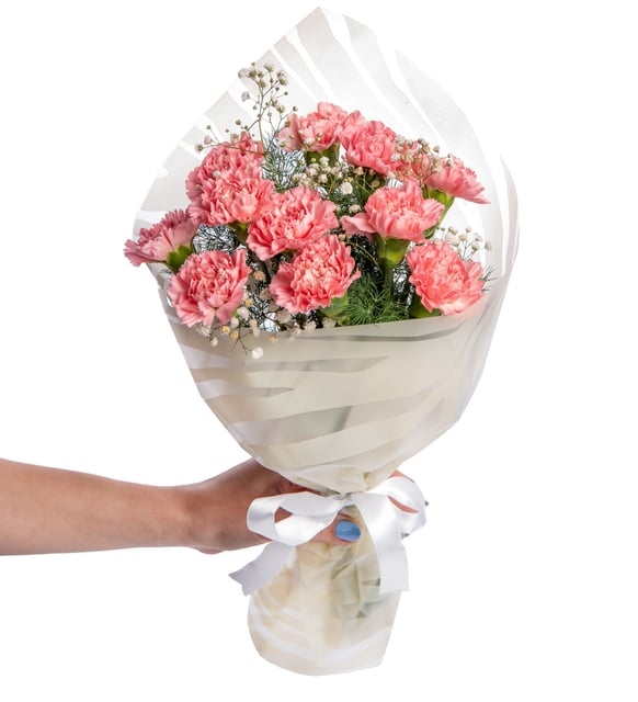 Bukette Pembe Karanfiller ve Cipsolar