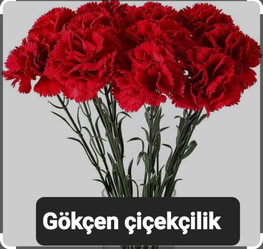 Kırmızı Karanfiller
